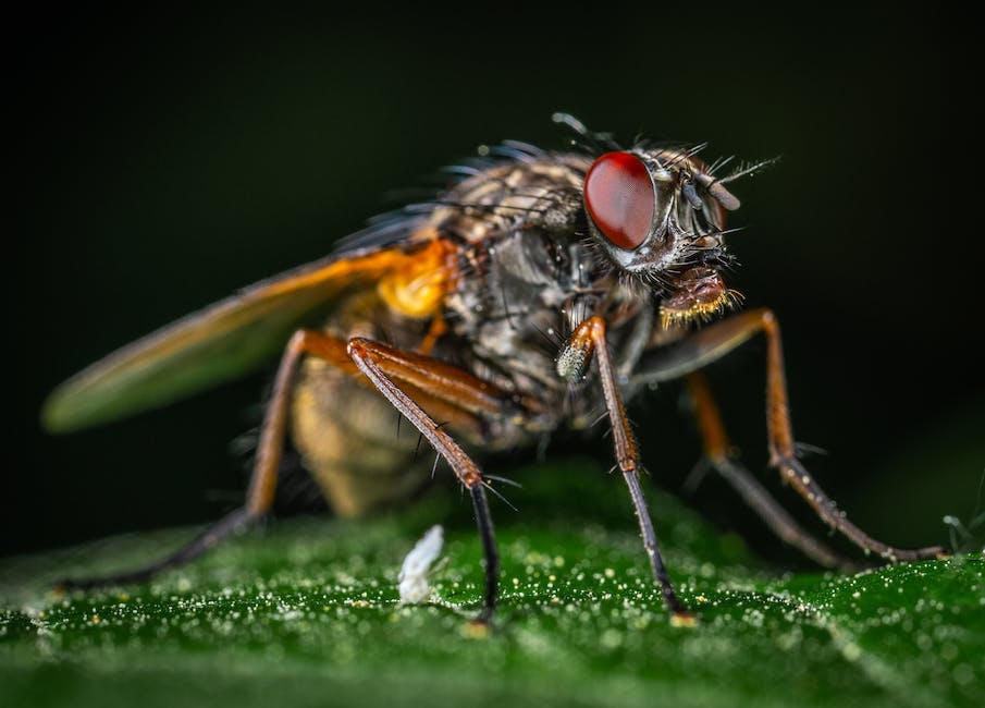  Kammerjägerkosten wer trägt sie