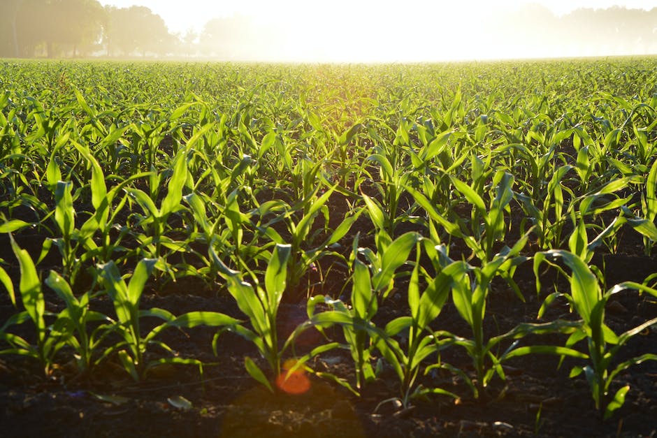  landwirtschaftliche Berufsgenossenschaft Beitragszahlung