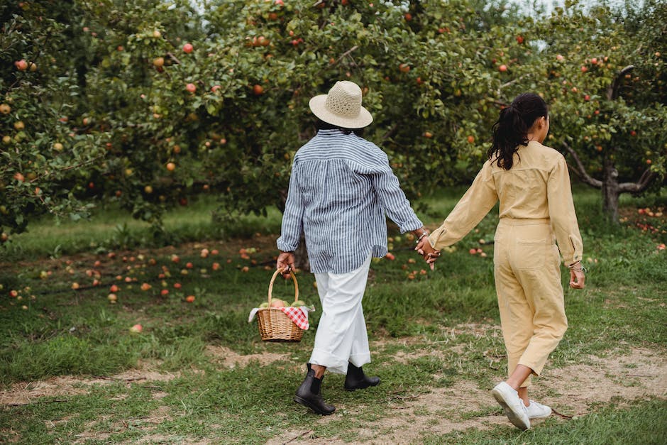  Bezahlen von Apple Music erklärt