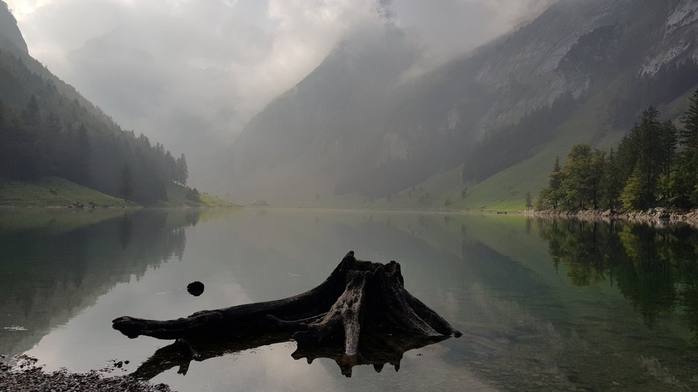 in der schweiz mit euro bezahlen