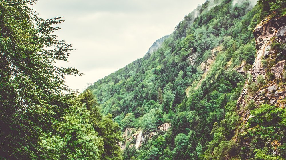 in der schweiz mit euro bezahlen